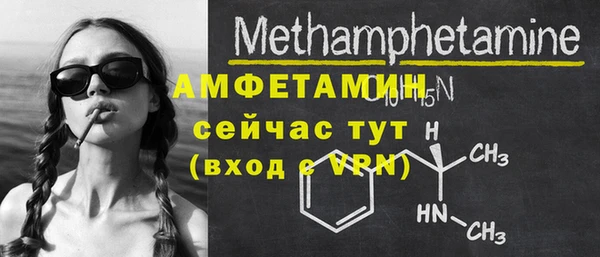 крисы Богородицк