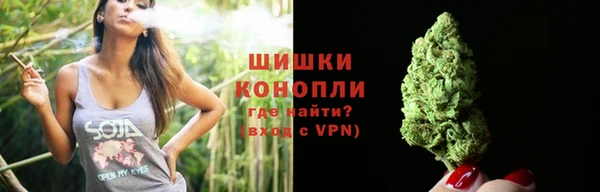 твердый Бронницы