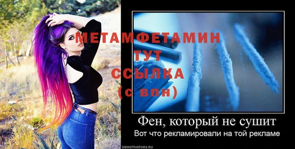 крисы Богородицк