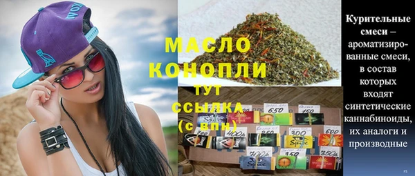 крисы Богородицк