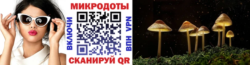 Псилоцибиновые грибы Psilocybe  OMG ONION  Киселёвск  наркошоп 